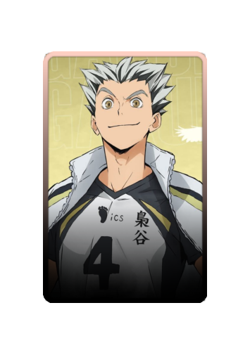 Koutarou Bokuto skin #2