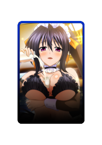 Akeno Himejima Maid 2025 skin