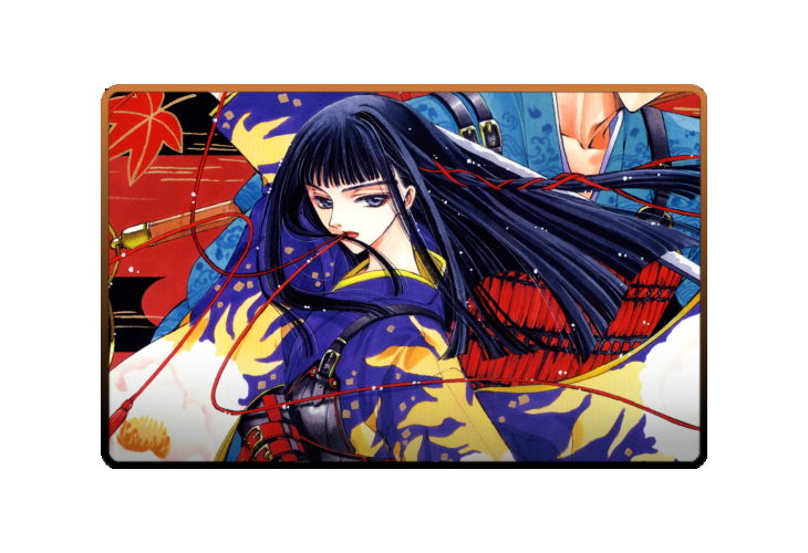 Arashi Kishu poster skin