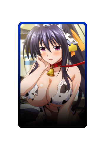 Akeno Himejima skin #4