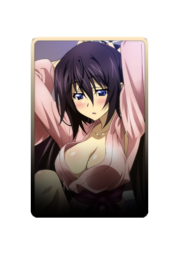 Shinonono Houki skin