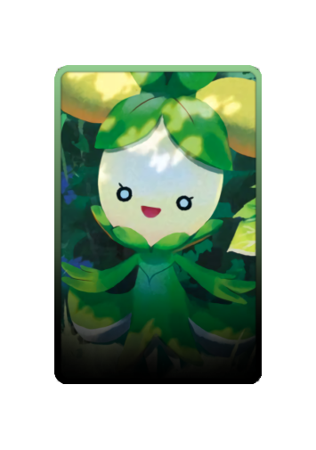Dolliv skin