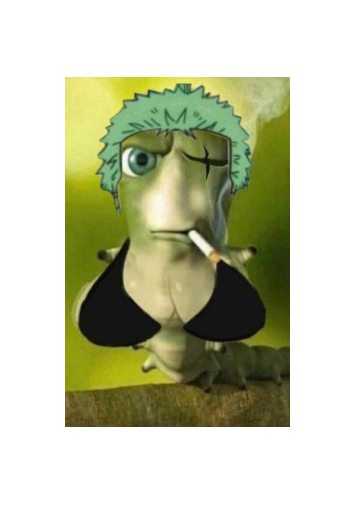 Zoro Roronoa April Fools 2026 skin