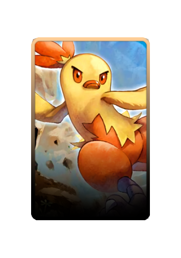 Combusken skin