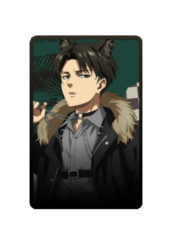 Levi Ackerman skin #4