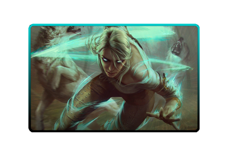 Ciri poster skin