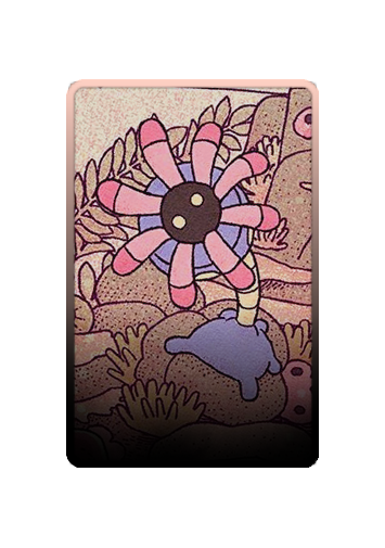 Lileep skin