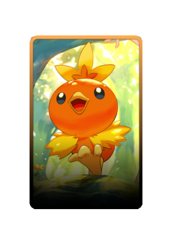Torchic skin