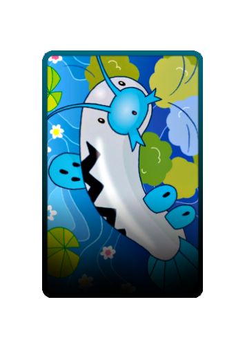 Barboach skin