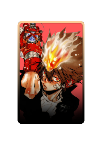 Sawada Tsunayoshi skin