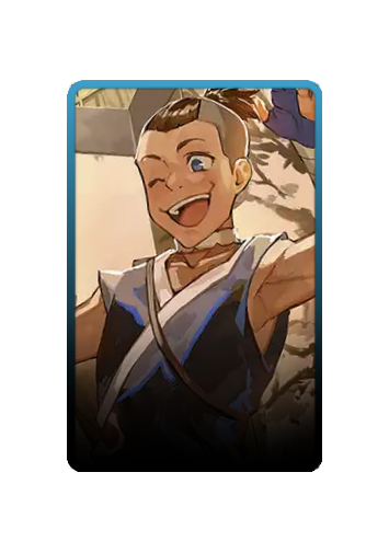 Sokka skin