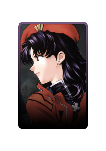 Katsuragi Misato skin