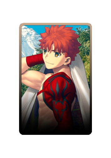 Emiya Shirou skin