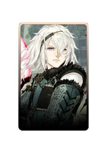 Nier skin