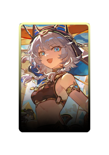 Cipher skin