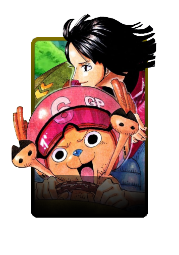 Robin x Chopper duo skin
