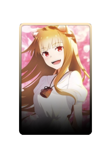 Holo skin