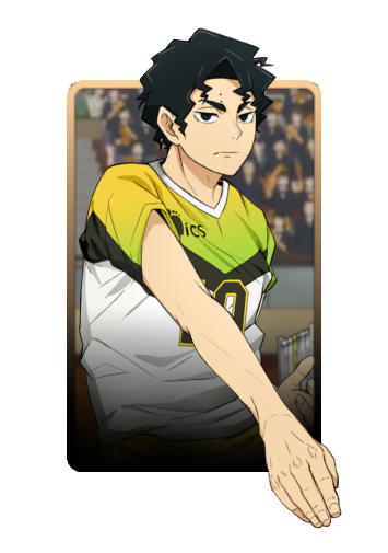 Kiyoomi Sakusa 3D skin