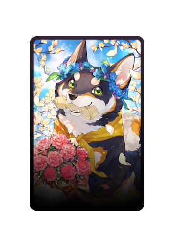 Kuroi Shiba skin