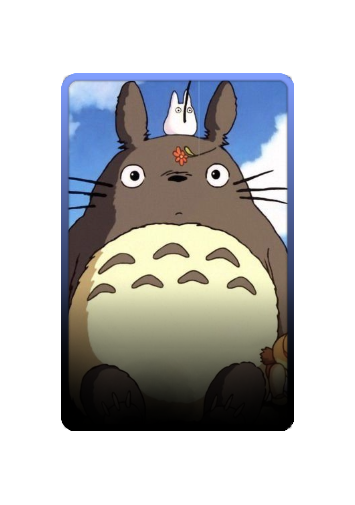 Totoro skin