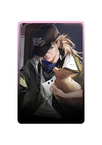 Che skin