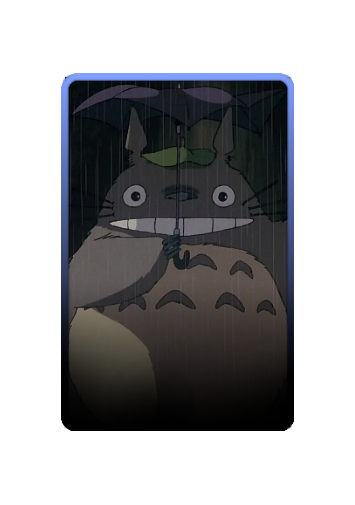 Totoro skin #2