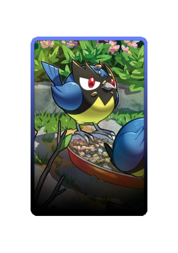 Rookidee skin