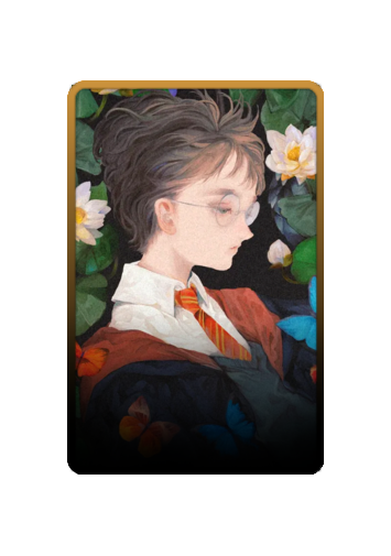 Harry Potter skin #2