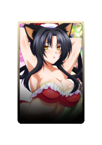 Kuroka Christmas 2025 skin