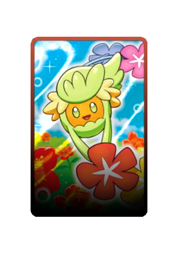 Comfey skin