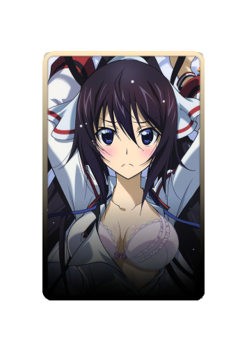 Shinonono Houki skin #2